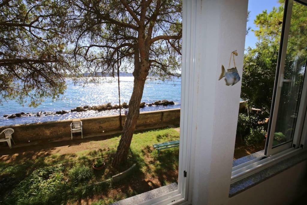 Seafront Beach Apartment - Directly At The Beach Zadar Exterior foto